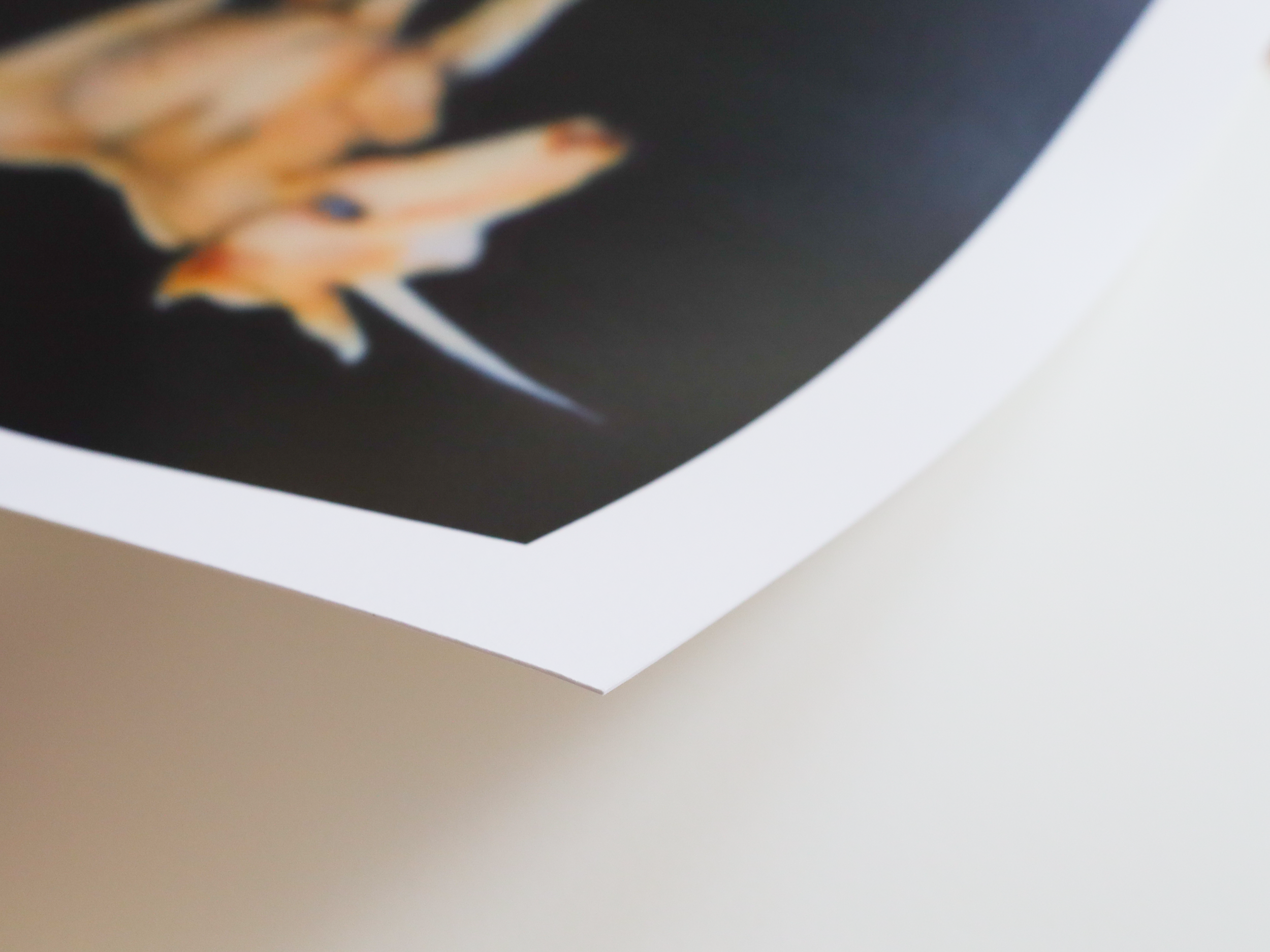 Prints_Isabelle Kitze.png
