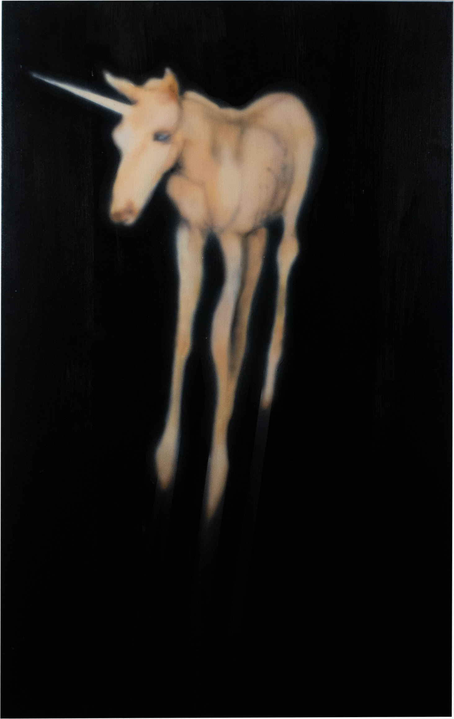 horse.png