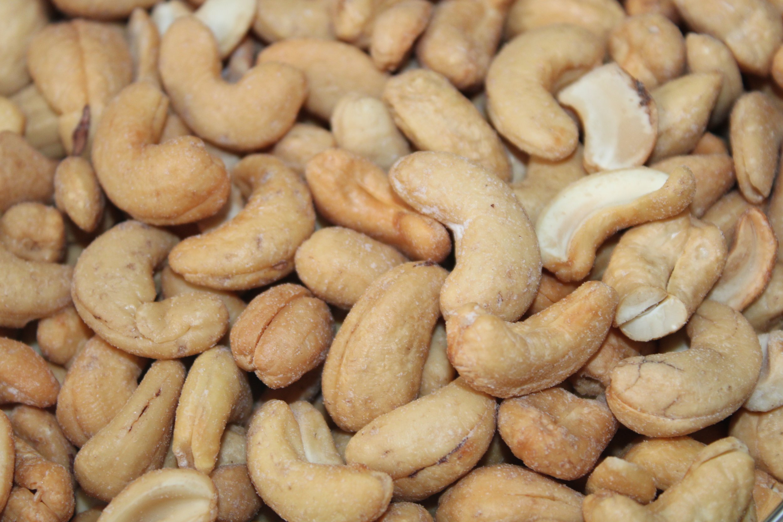 Salted Roasted Cashews