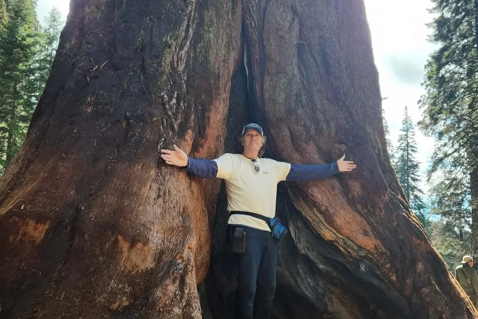 A person standing with arms outstretched around a large tree trunk in a forest, with tall pine trees in the background.