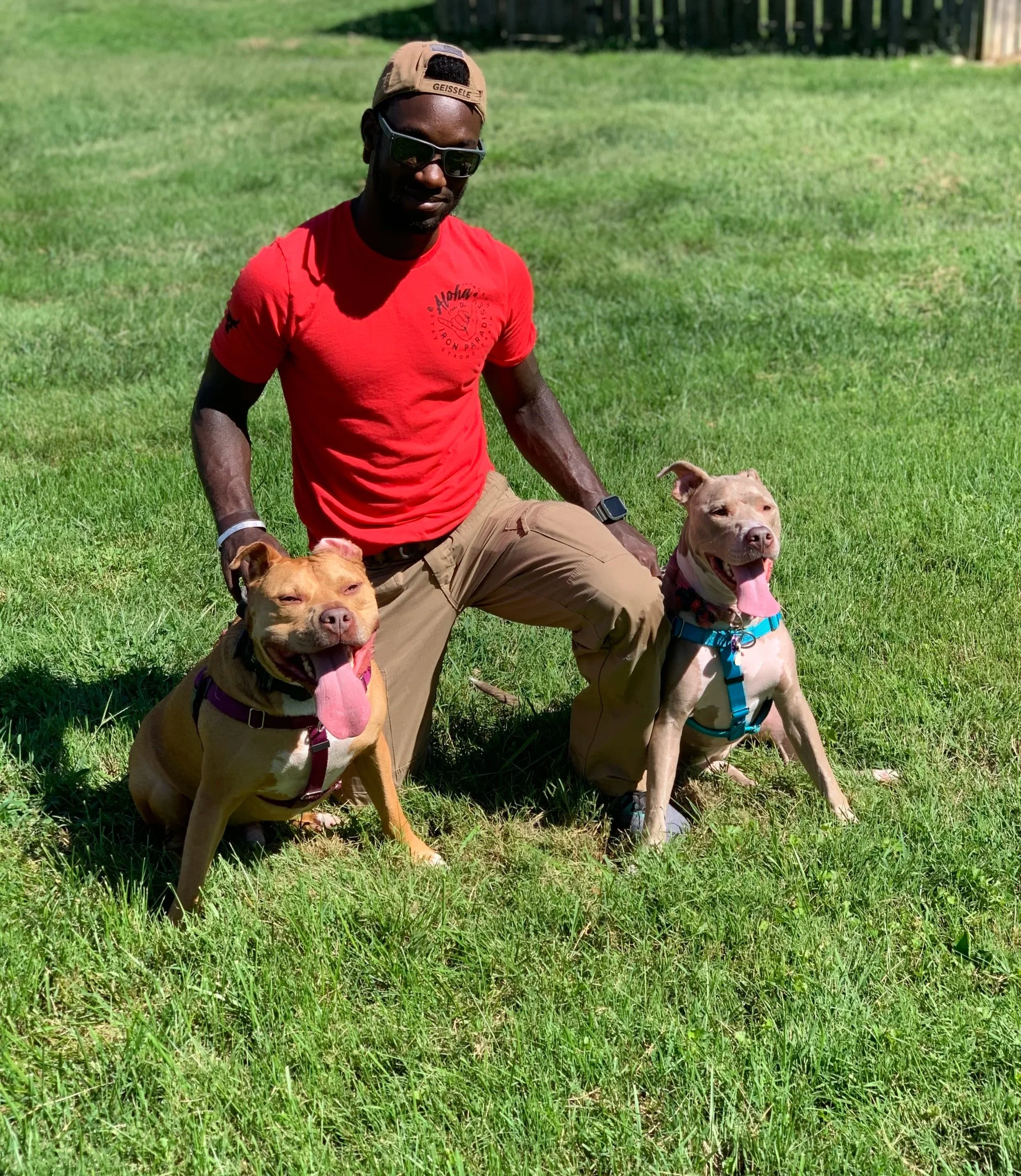 A man kneeling on grass with two dogs, all with tongues out, in a sunny outdoor setting.