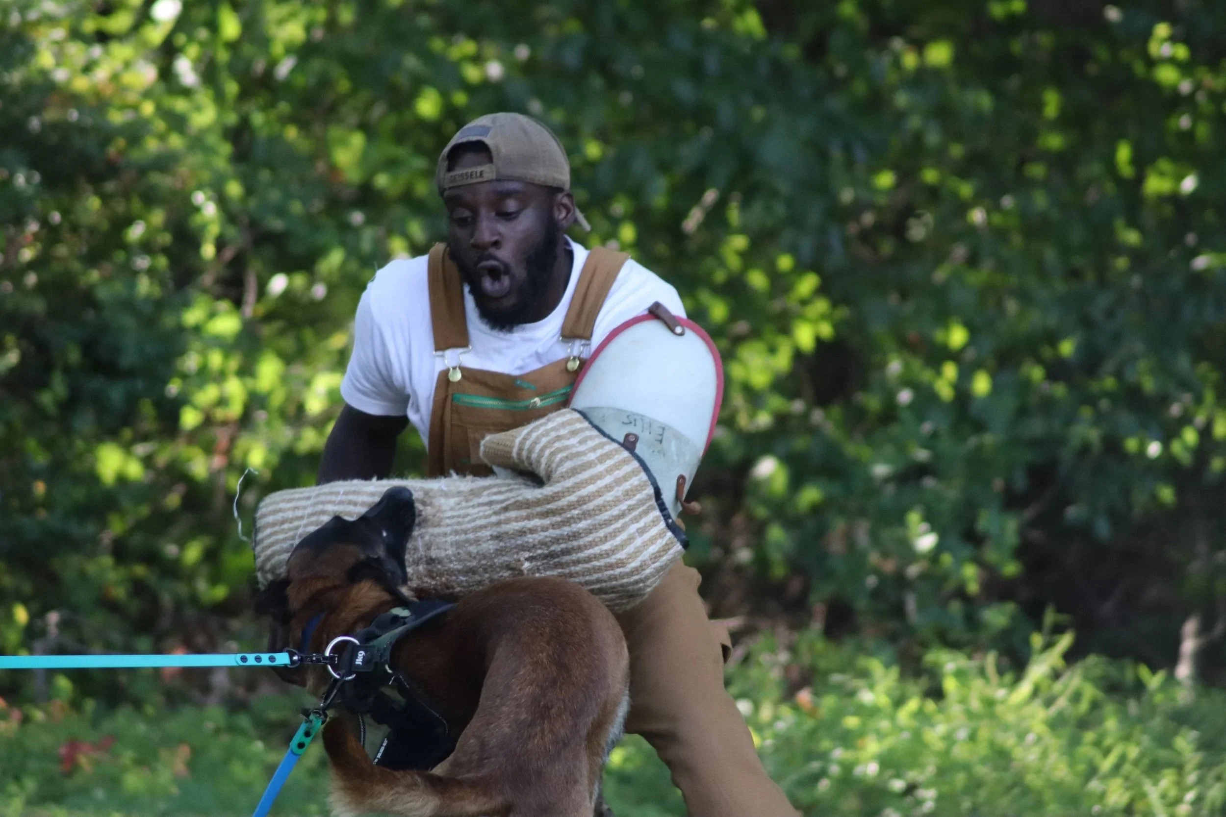 A man wearing a tan cap and overalls and a white shirt, holding a large dog toy, appears to be reacting in surprise during an outdoor activity with a brown and black dog on a leash, in a green, wooded area.
