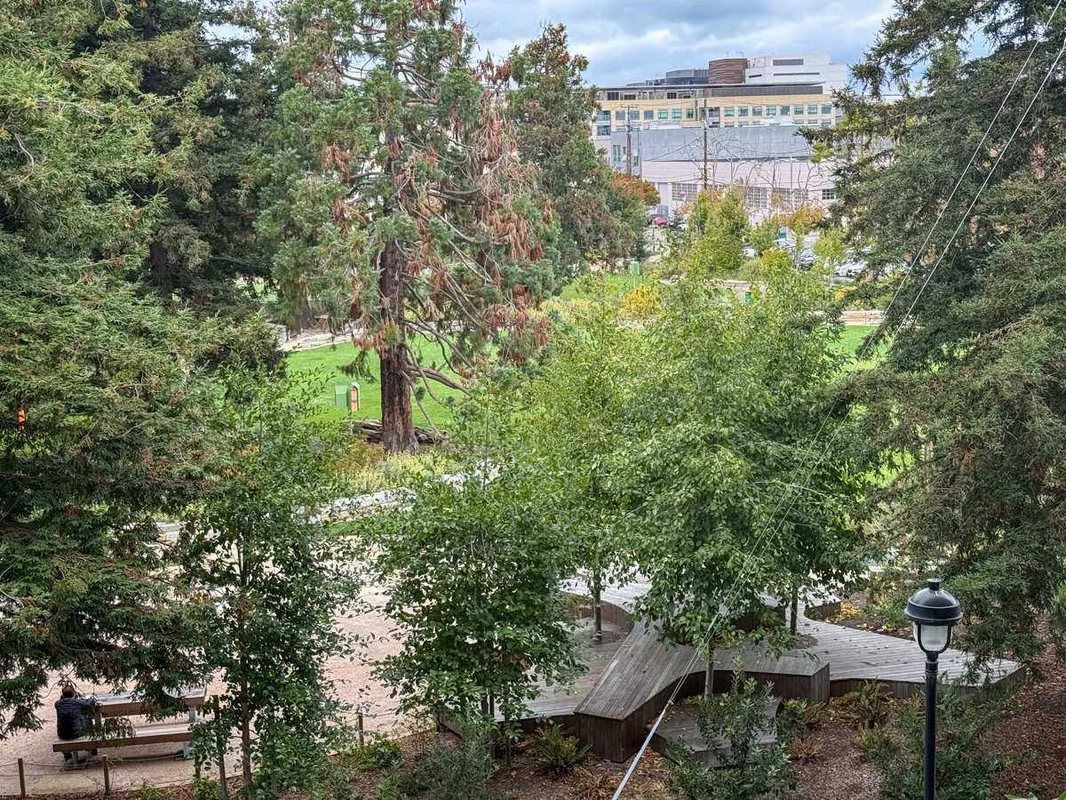 View of Esprit Park across 20th street from unit