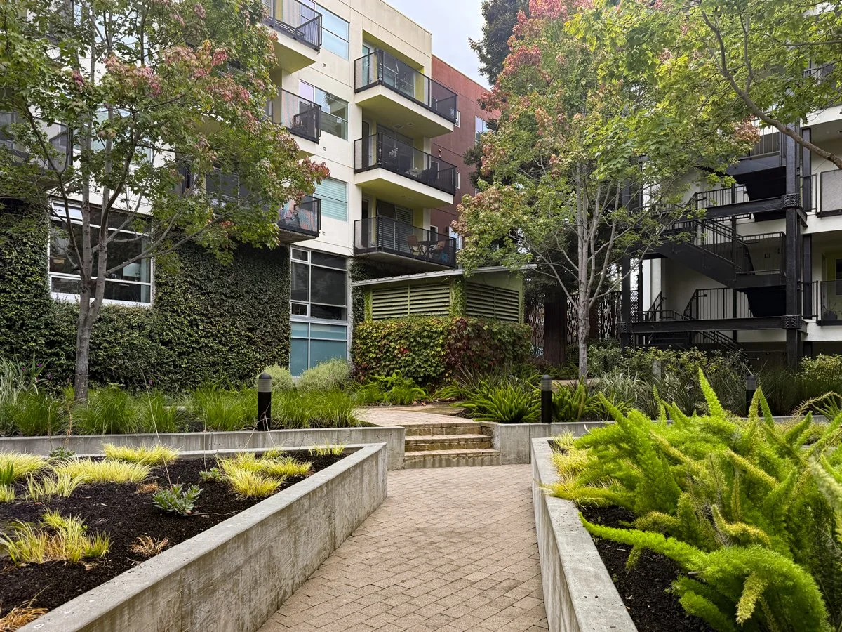 View from North Court to balcony.