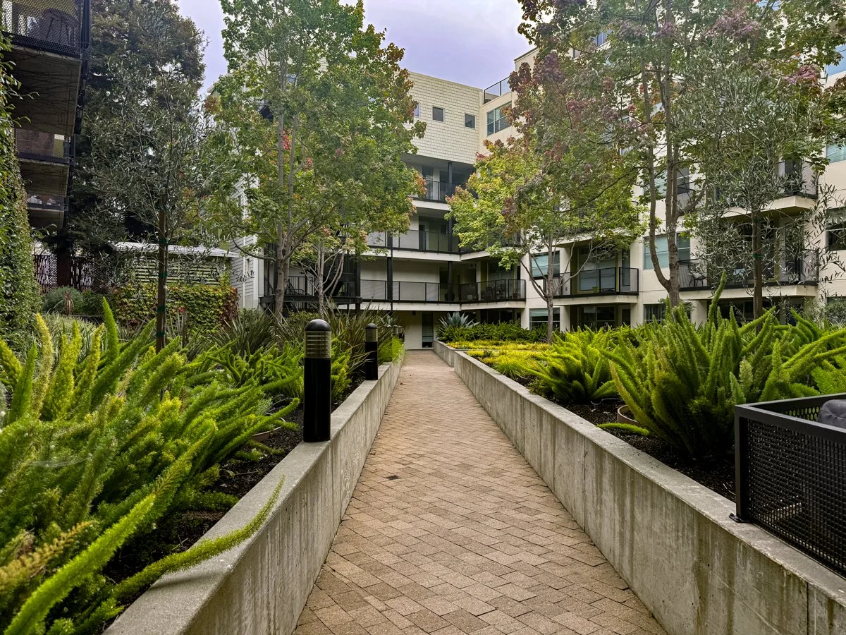 North court