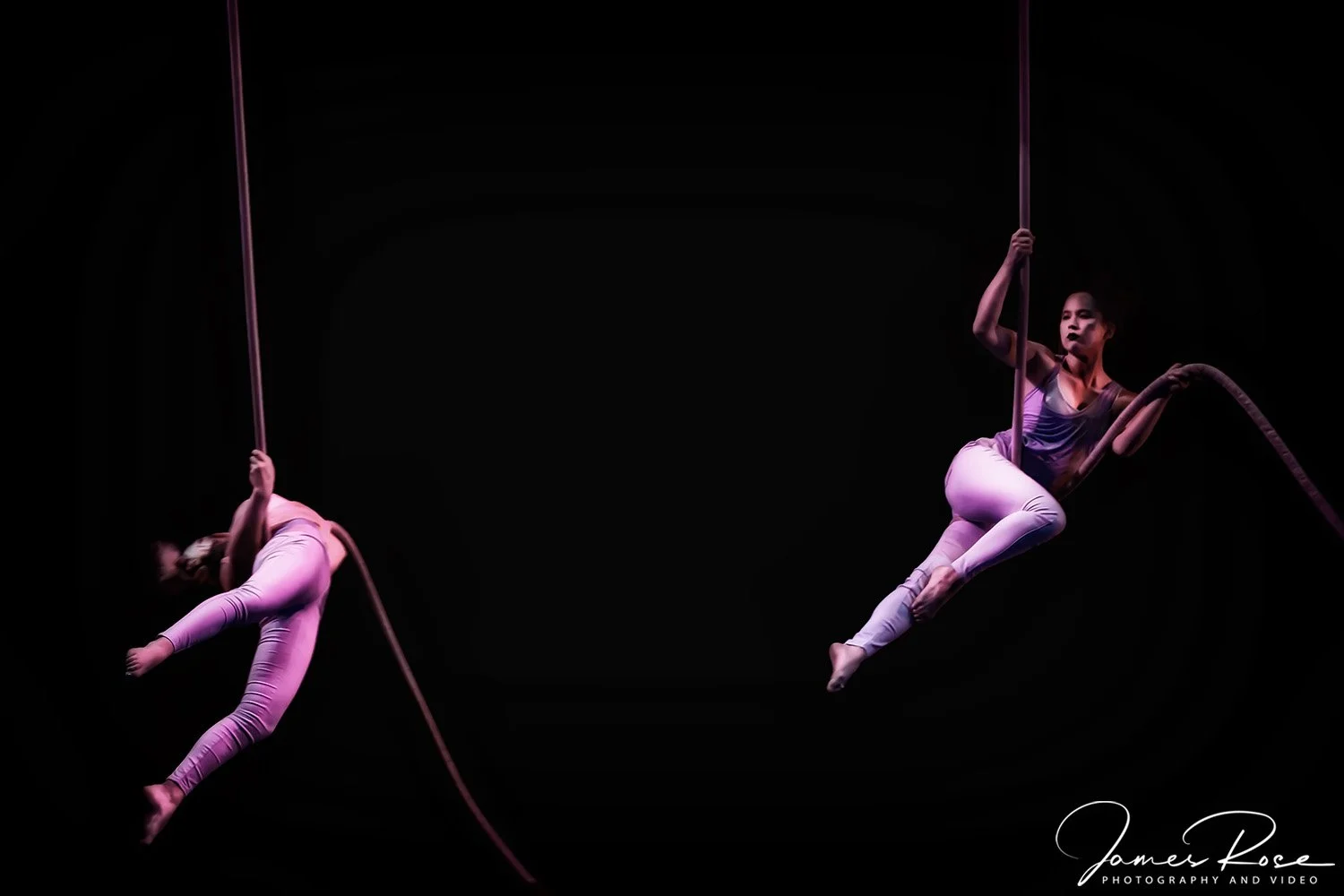 Two aerial performers in pink and purple costumes performing on hanging hoops against a black background.