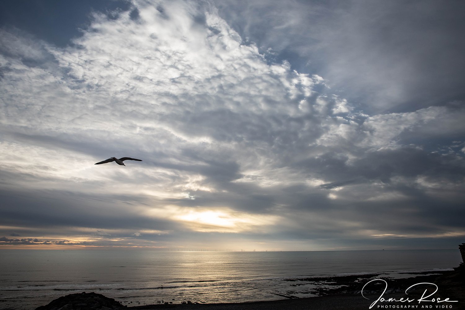 A seagull flying over a calm ocean during a cloudy sunset with a silhouette of rocks and distant wind turbines on the horizon.