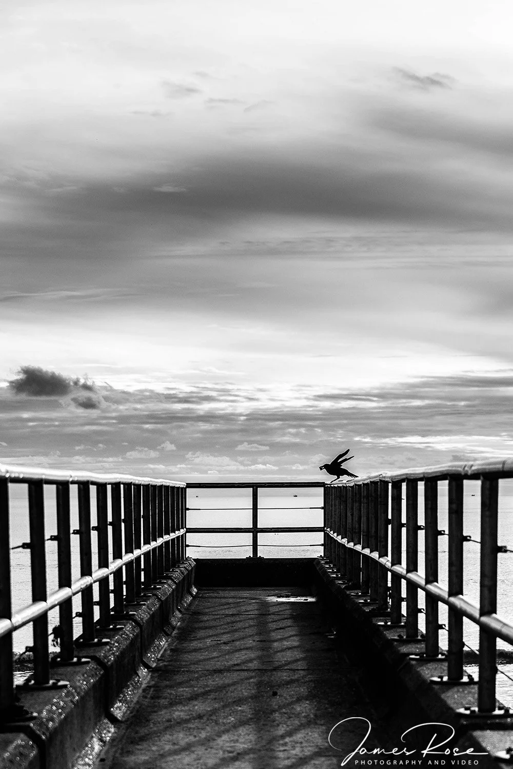 Black and white photo of a walkway over the water with a bird perched on the railing, cloudy sky in the background.