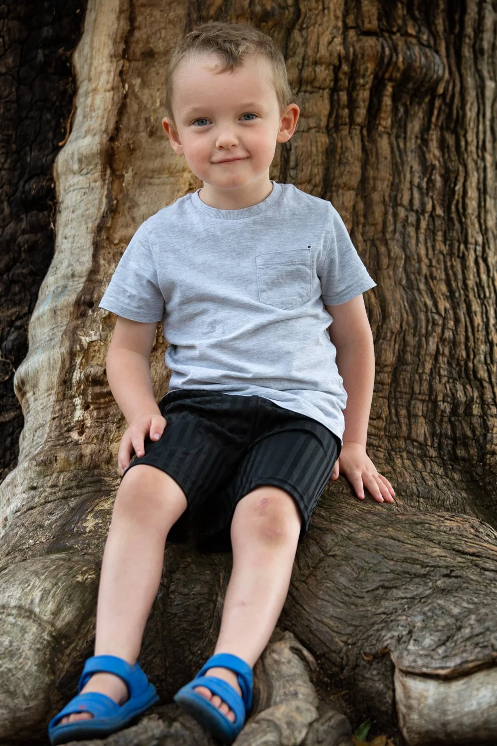 A young boy sitting on a large tree root in front of a thick tree trunk, smiling at the camera.