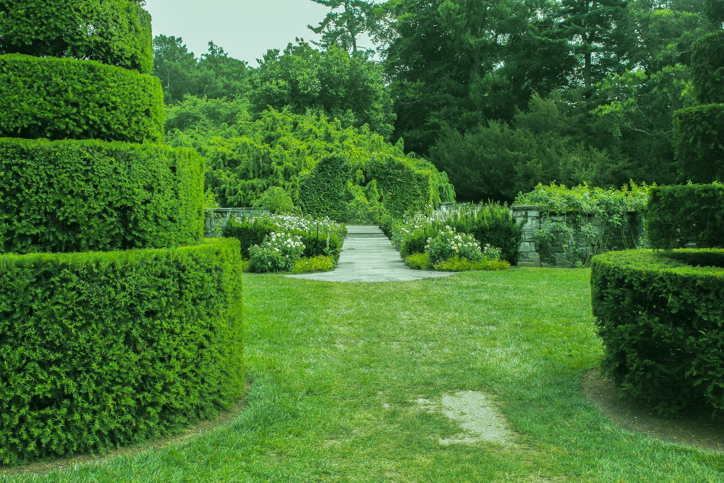 Phildelphia garden1.jpg