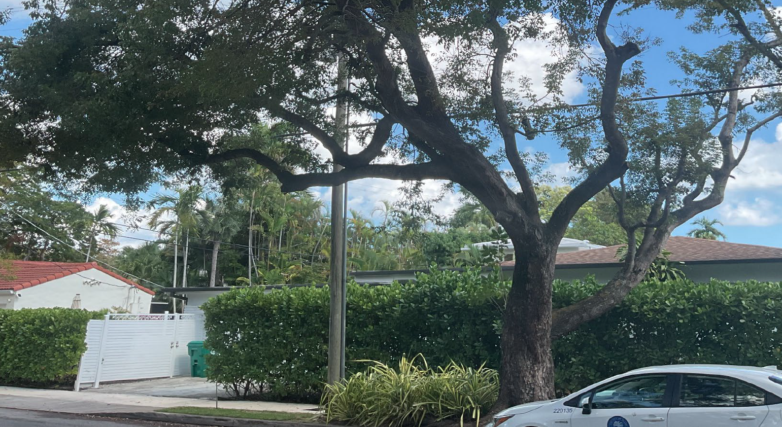 Tree removed on 55th Terr &amp; 5th Ave