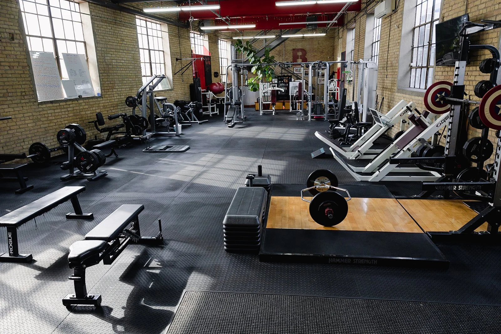 Empty gym with various workout equipment, including weights, benches, and cardio machines, in a brick-walled, sunlit space.