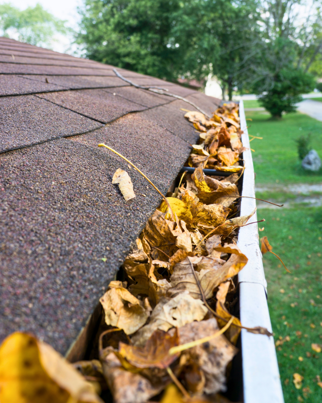 Gutter & Eavestrough Maintenance