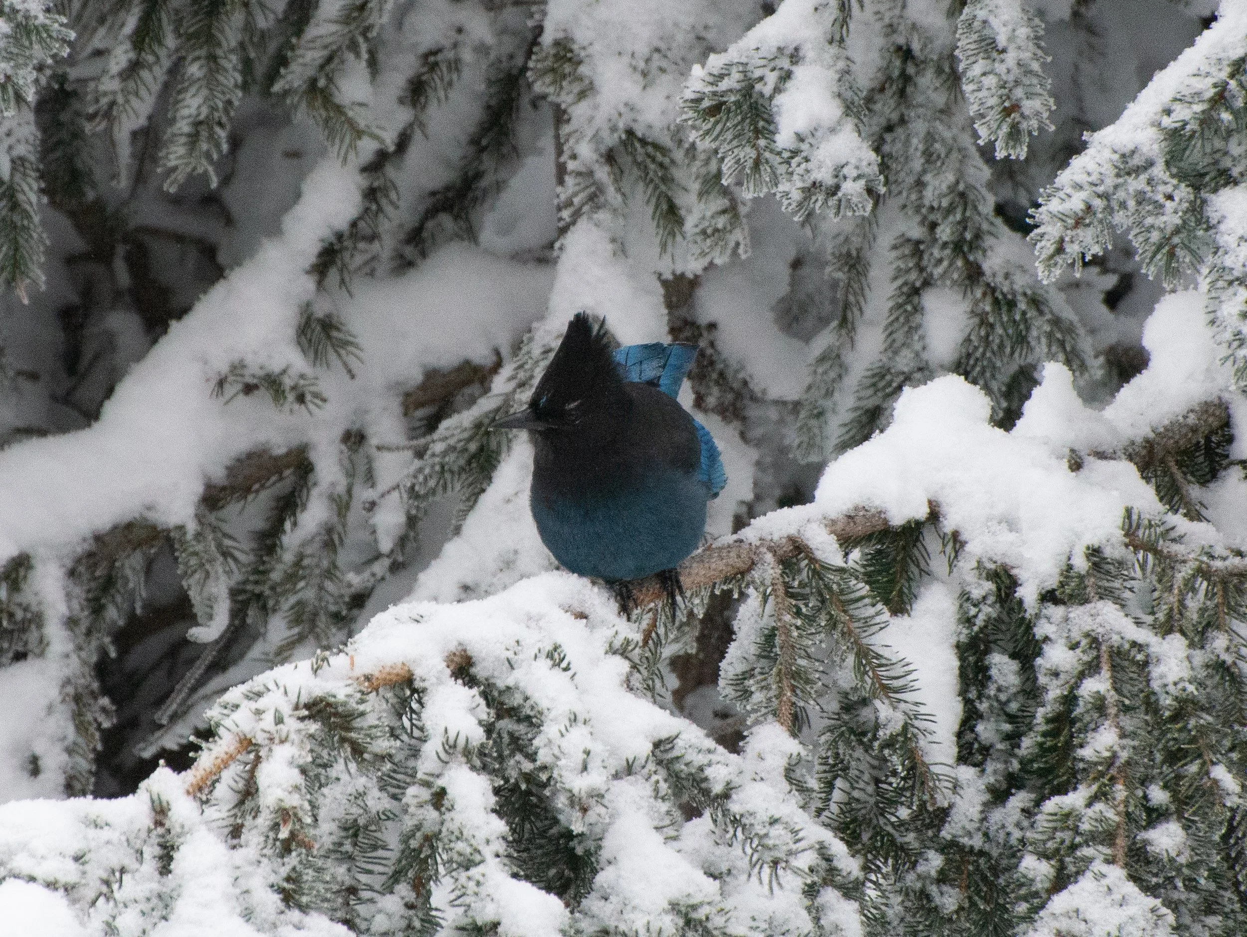 DSC_2879.jpg