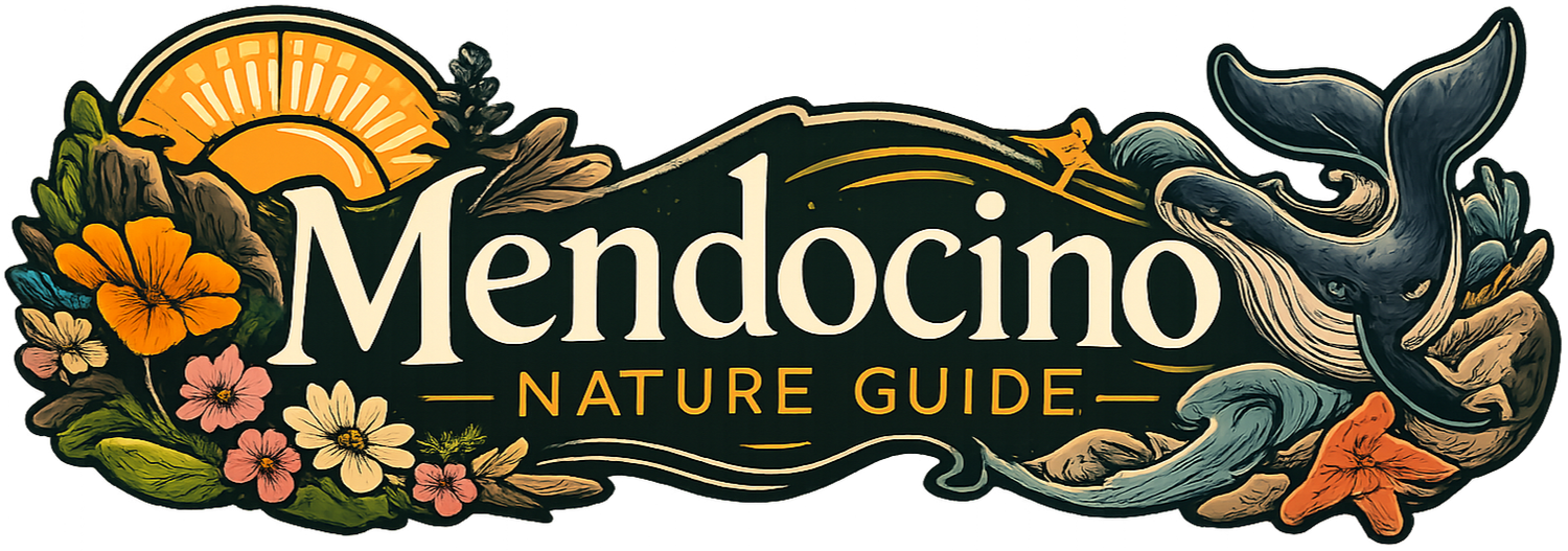 Mendocino Nature Guide