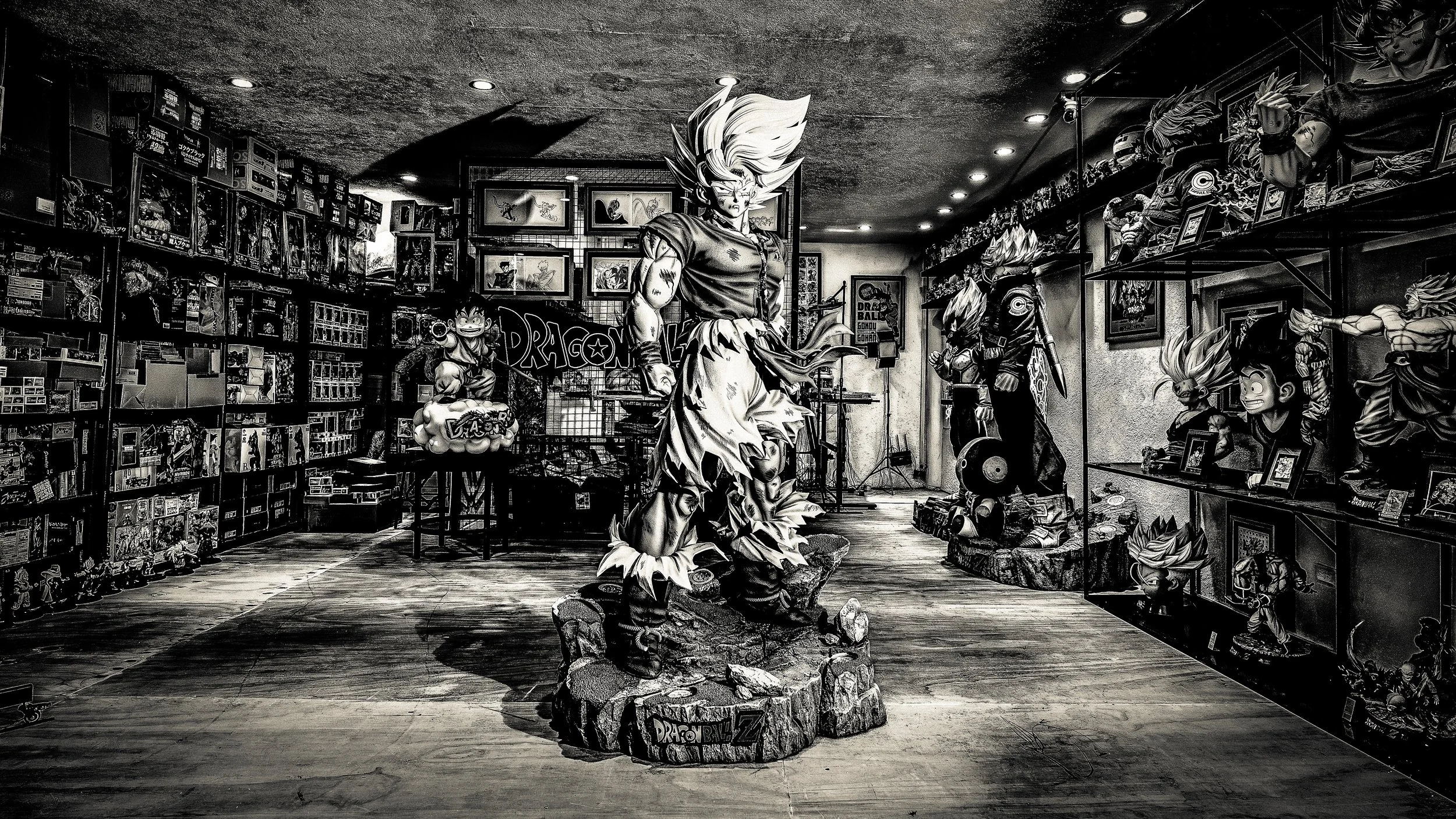 THE COLLECTORS MANIFESTO