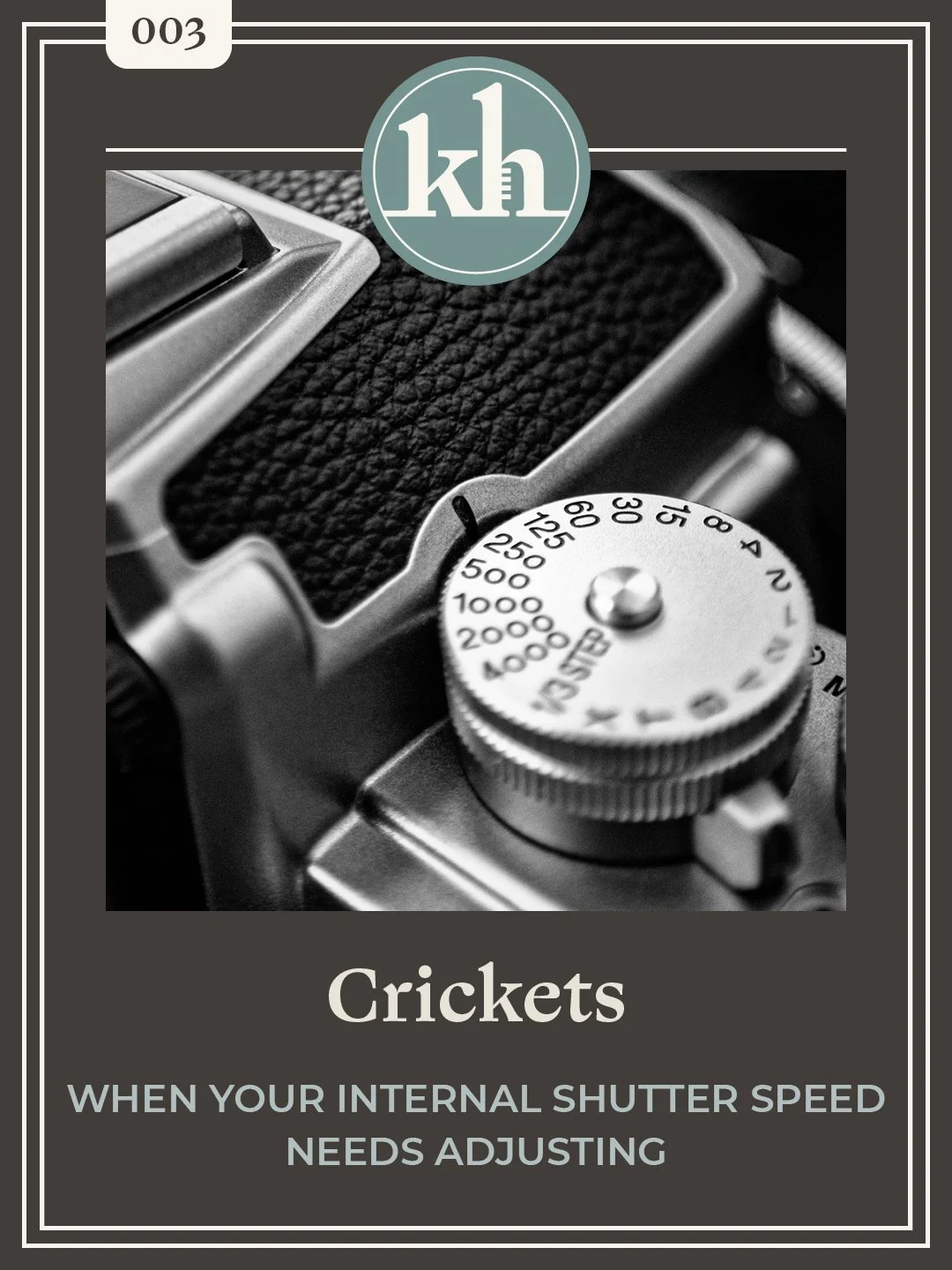 Blog cover graphic for Crickets: When Your Internal Shutter Speed Needs Adjusting, featuring a close-up photograph of a vintage camera shutter speed dial.