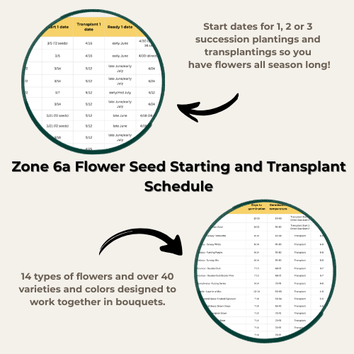 Your paragraph text(1).png