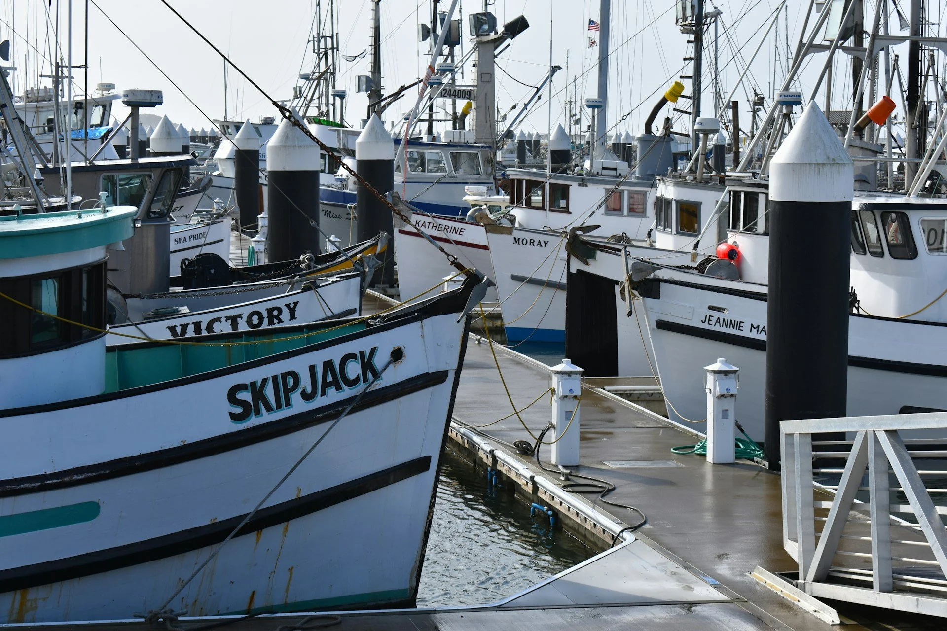 Marina with several docked boats, including the boats named Skipjack, Victory, Katherine, Moray, and Jeannie Mae, tied to a floating dock with power and water hookups.