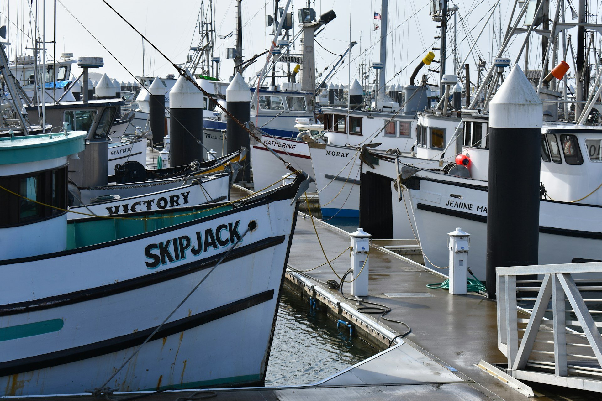Boats along a dock