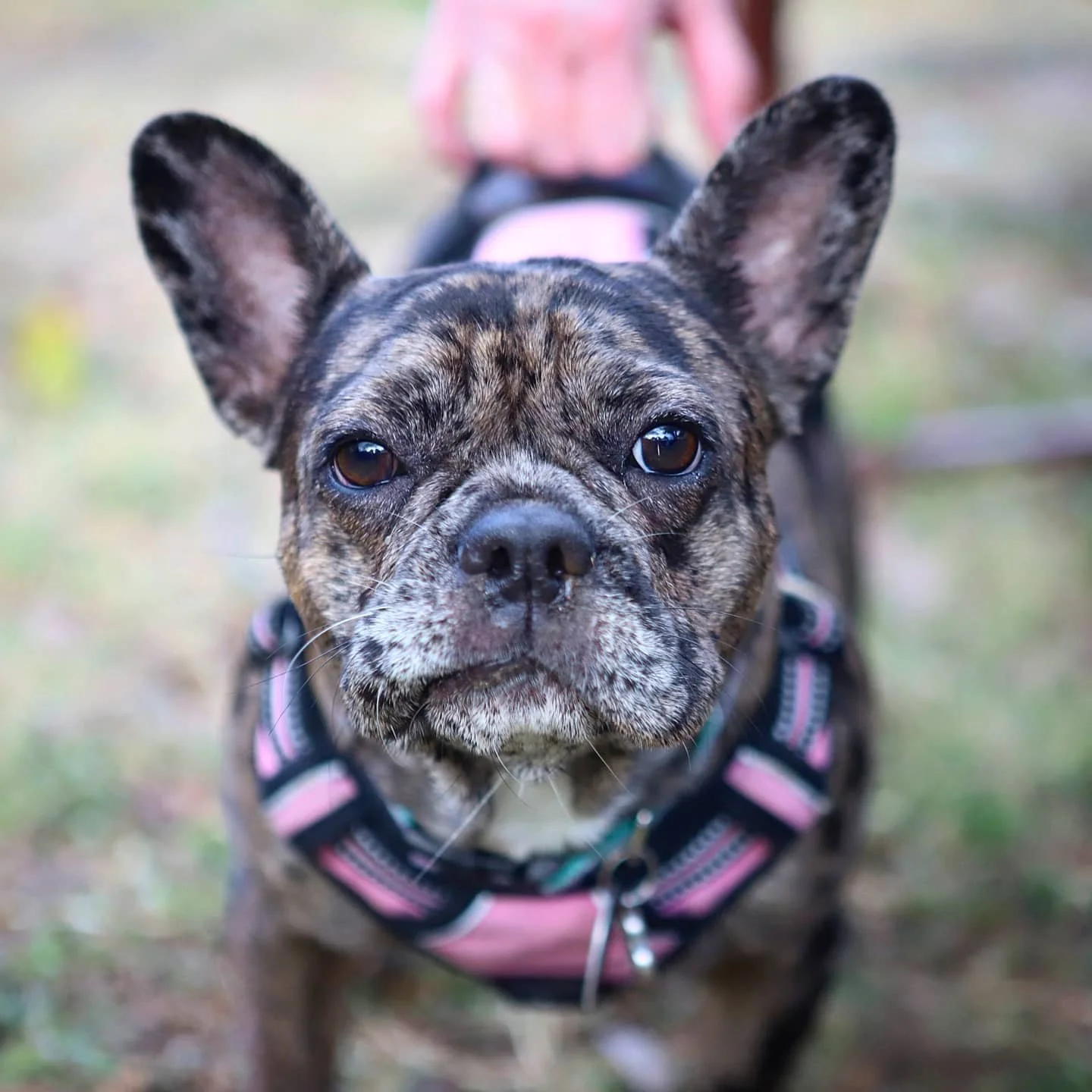 Candid & Calm Moments (30 min, $129.99)