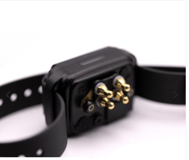 Educator CPAD-004 Long Point Comfort Pad