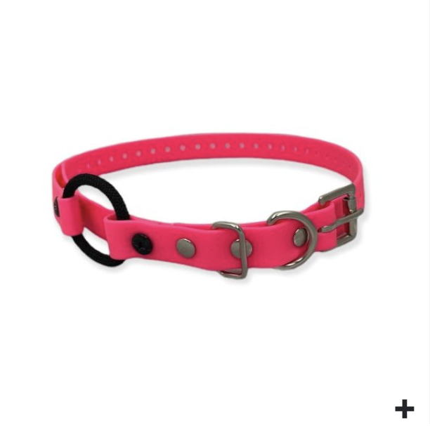 Educator 3/4" Biothane Bungee Collar