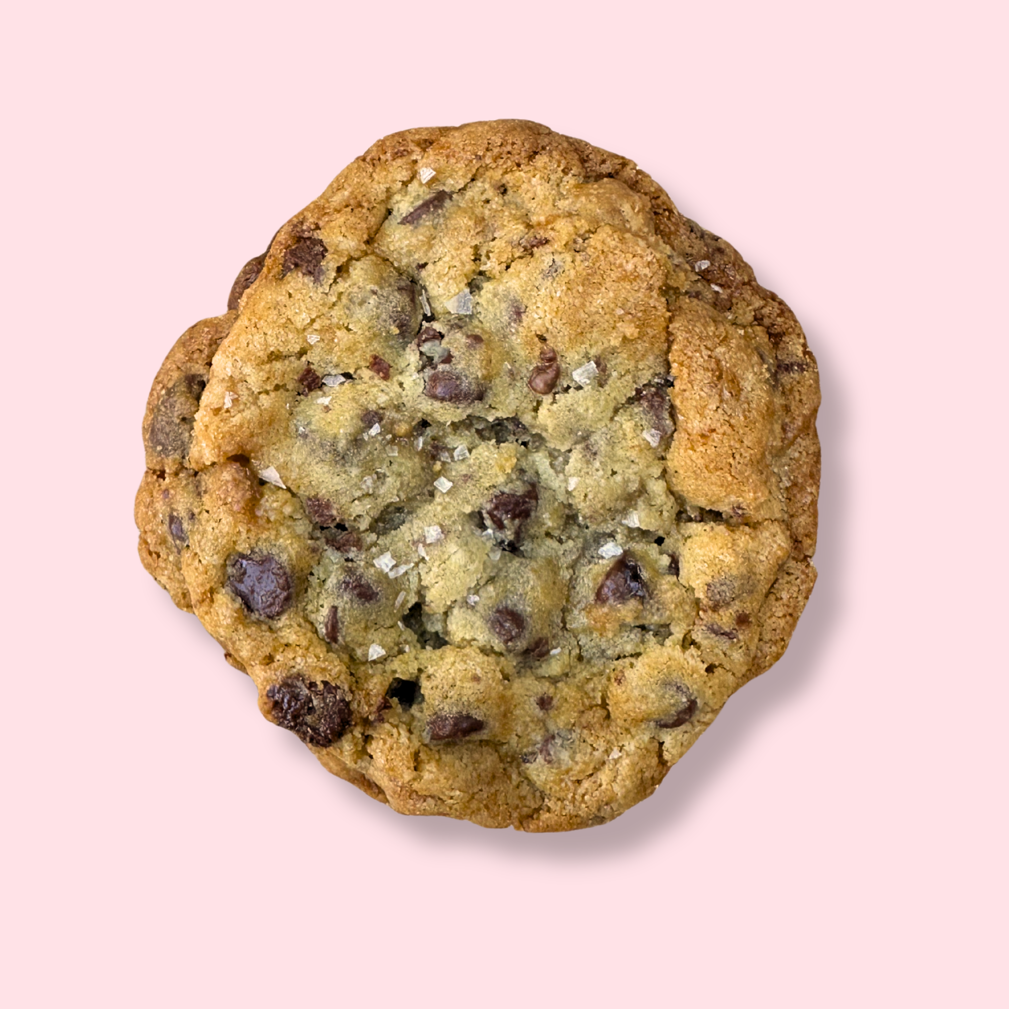 Chocolate Chip Cookie