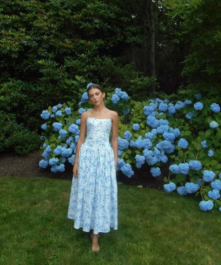 Blue Hydrangea Daydream 💙🩵.jpg