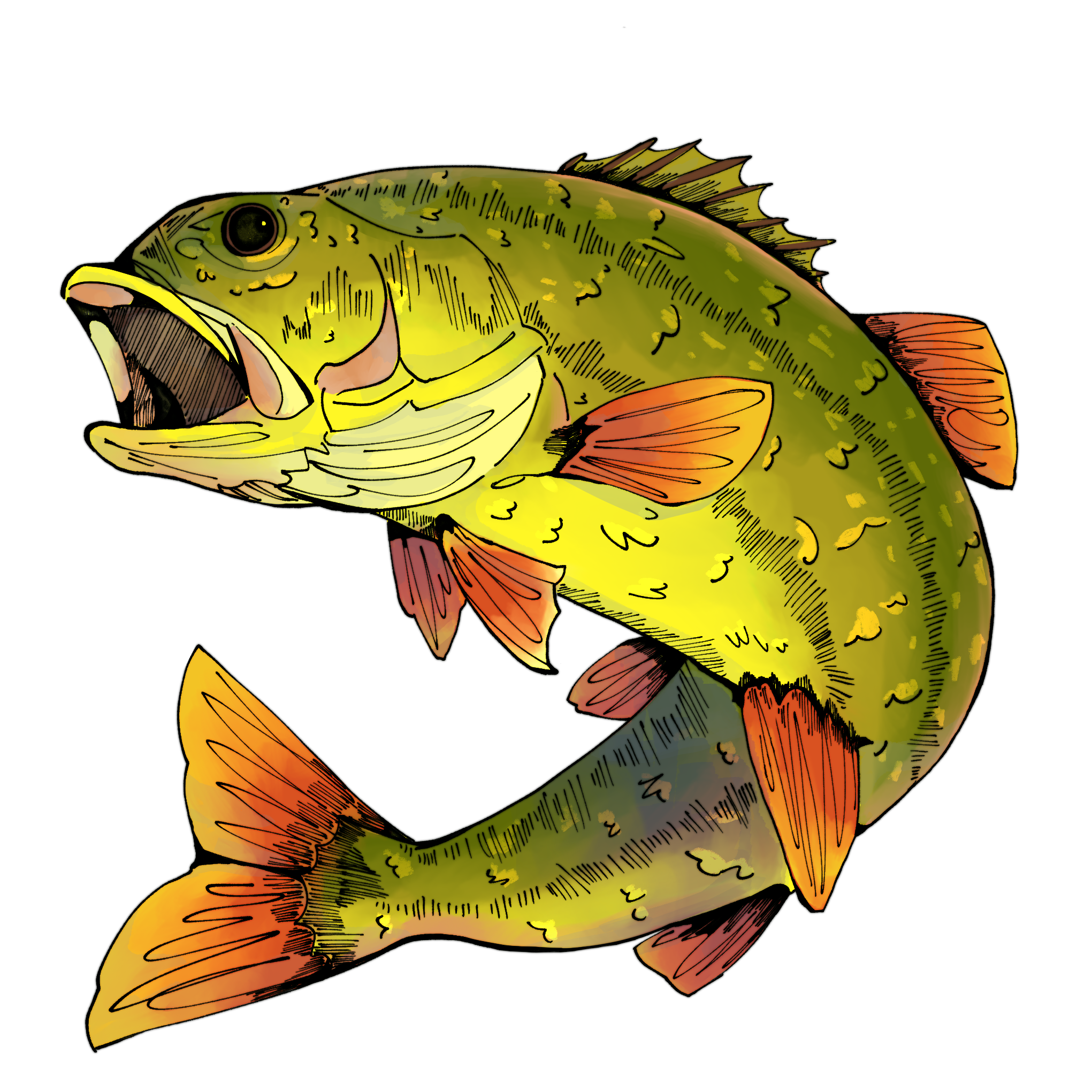 just_fish.png