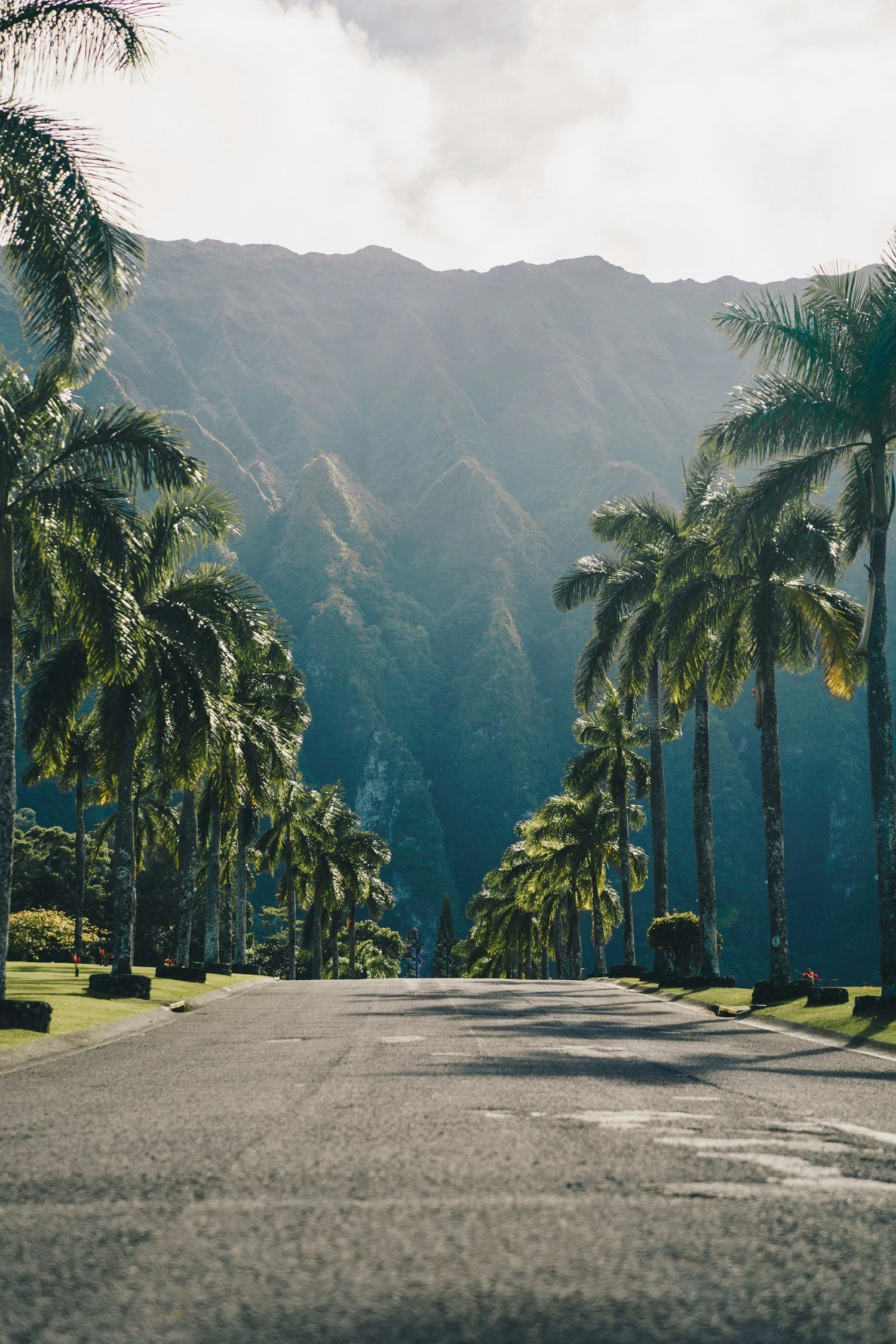 A paved road in a park with tall palm trees on either side, mountains in the background, and a partly cloudy sky.