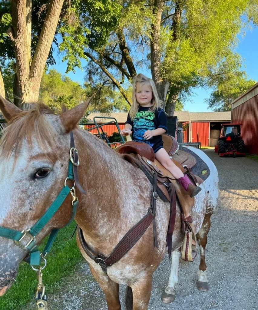 Young girl sitting on a saddle on a brown and white horse, smiling outdoors with trees, a red barn, and farm equipment in the background.