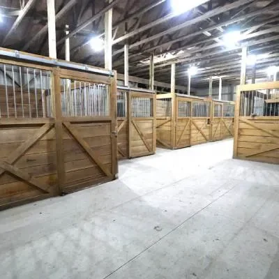 Empty horse stalls in a stable with wooden dividers and metal bars.
