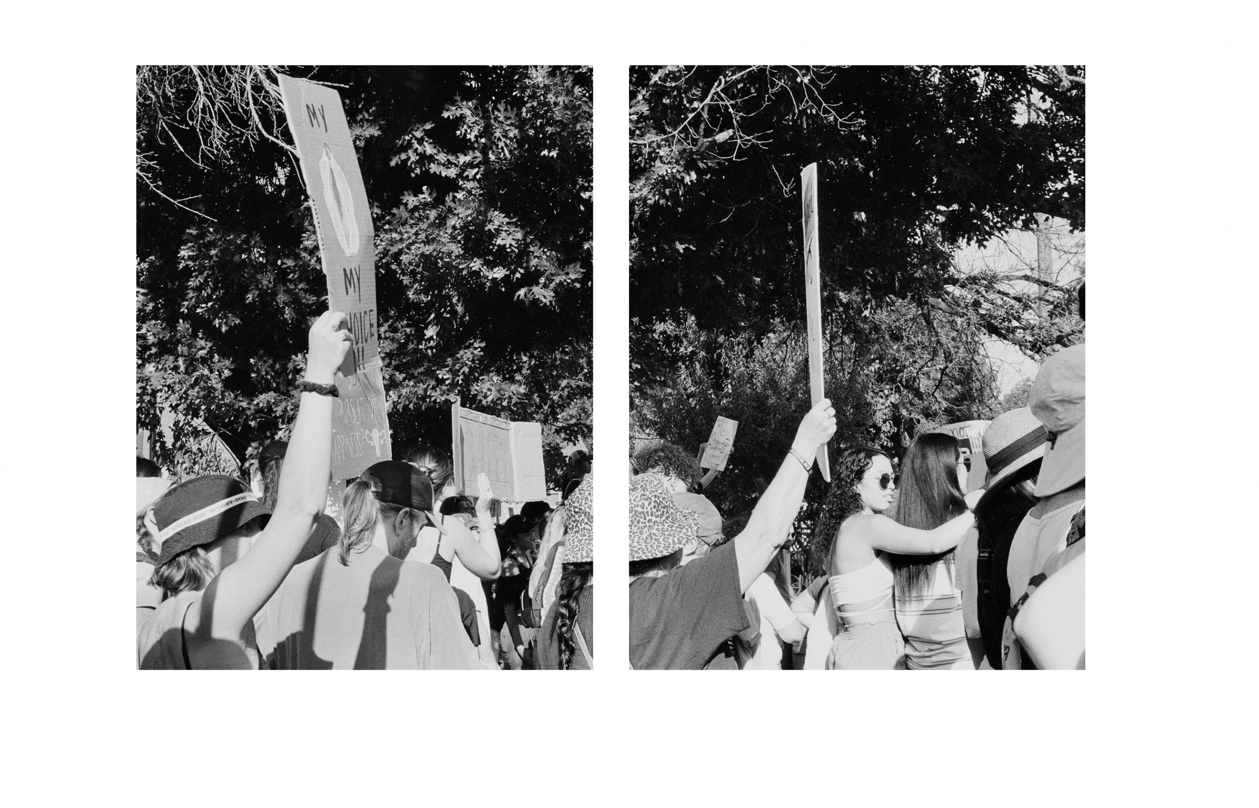 Screen Shot 2025-05-01 at 5.53.55 PM.png