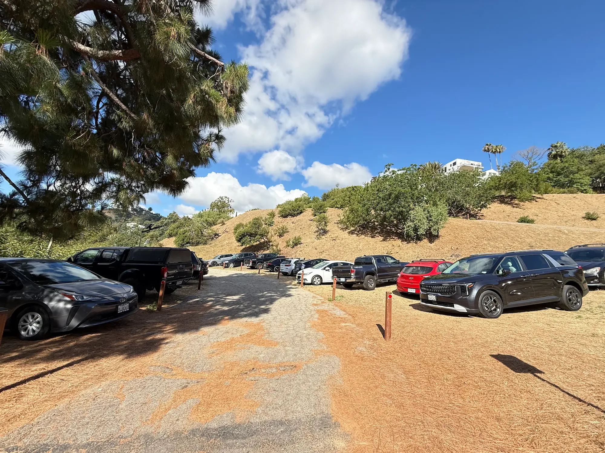 Vehicles parked along both sides of the driveway at XOHH Events.