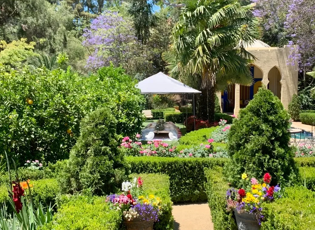 Jacaranda and palms rising over the estate gardens