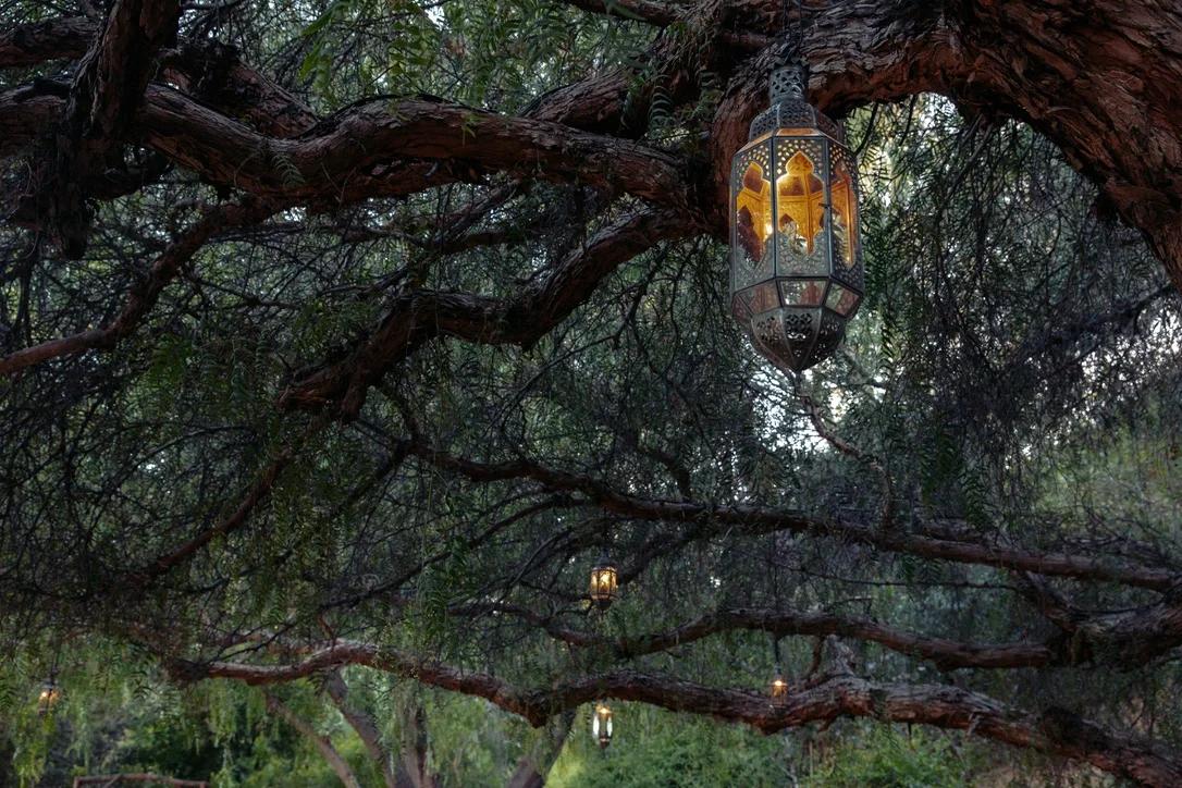 Ornate Moroccan lantern hanging from the branch of an old oak