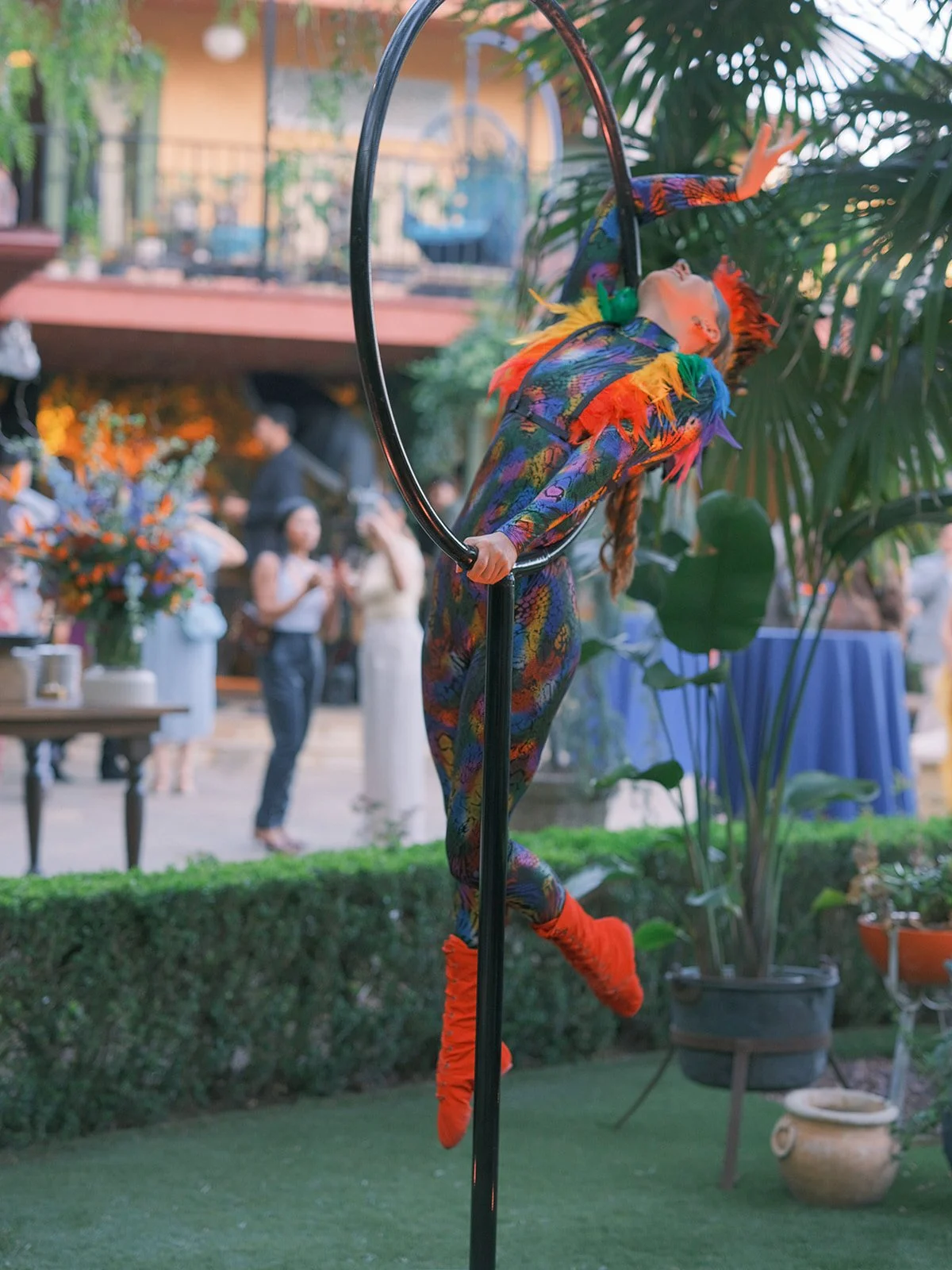 Aerial performer in a colorful catsuit with a hoop as guests look on
