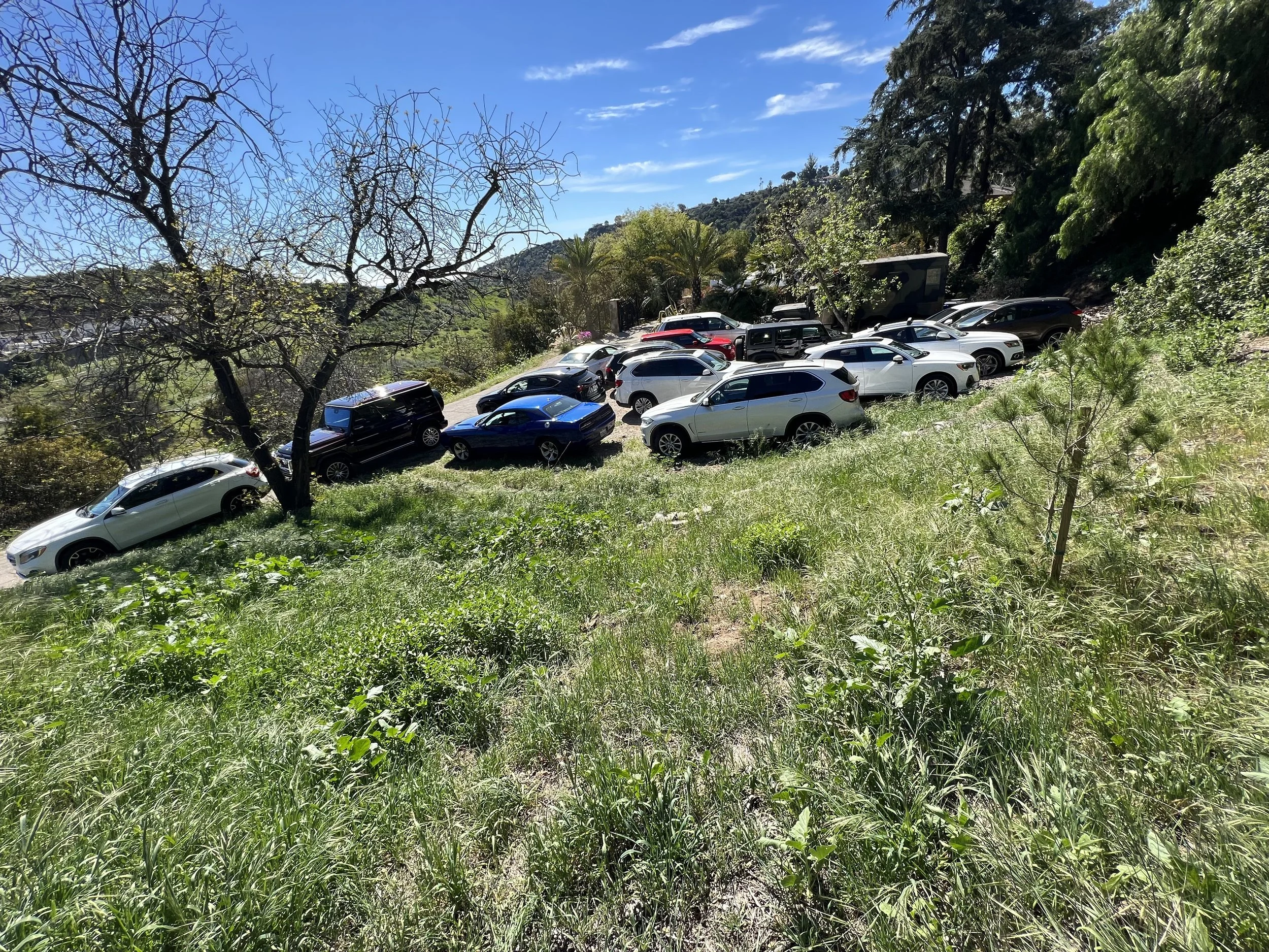Guests' cars parked on the estate's grassy hillside lot overlooking the canyon.