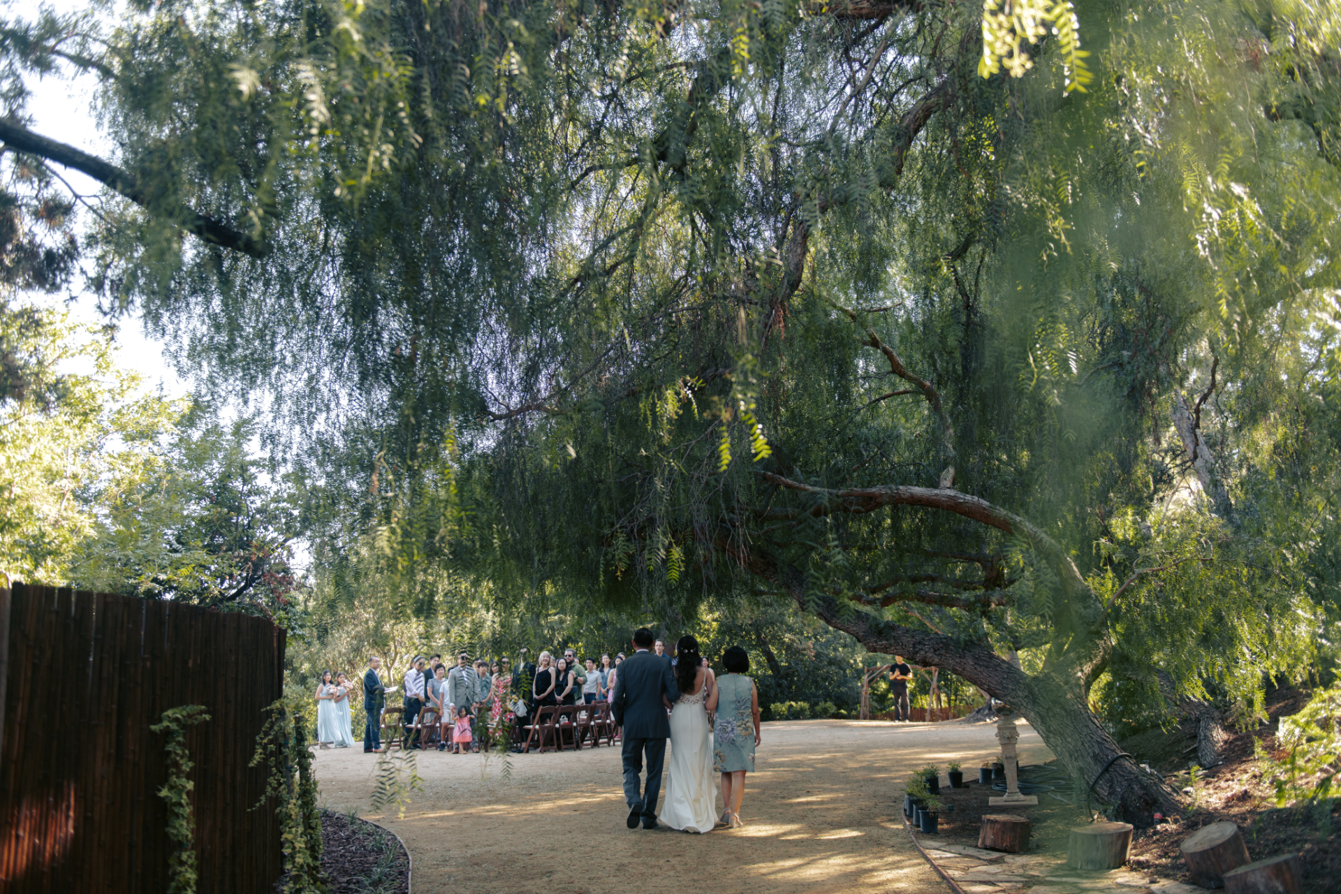 Outdoor wedding ceremony beneath willow trees with seated guests