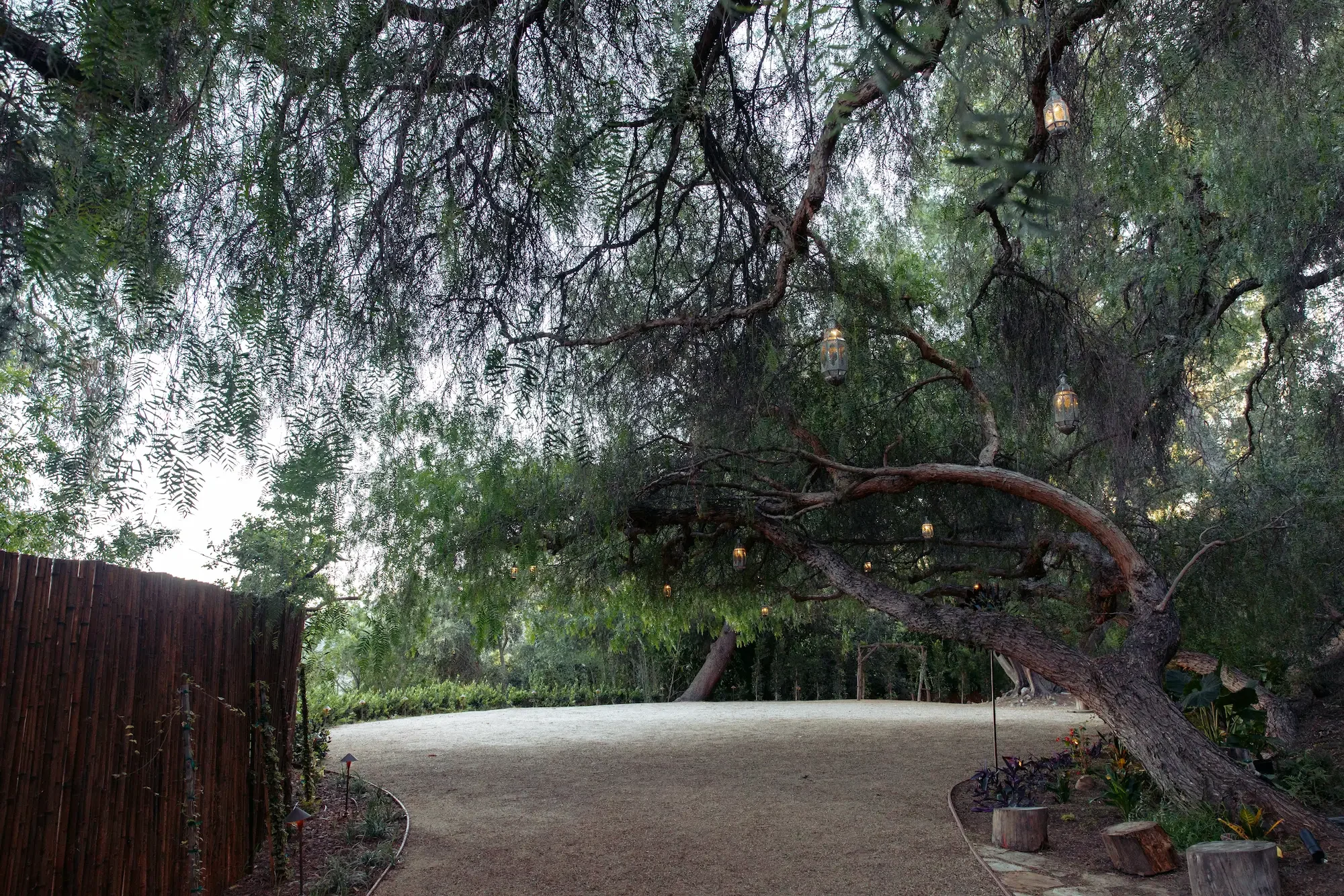 Vista Grove beneath a California pepper tree canopy with hanging Moroccan lanterns and expansive open production space.