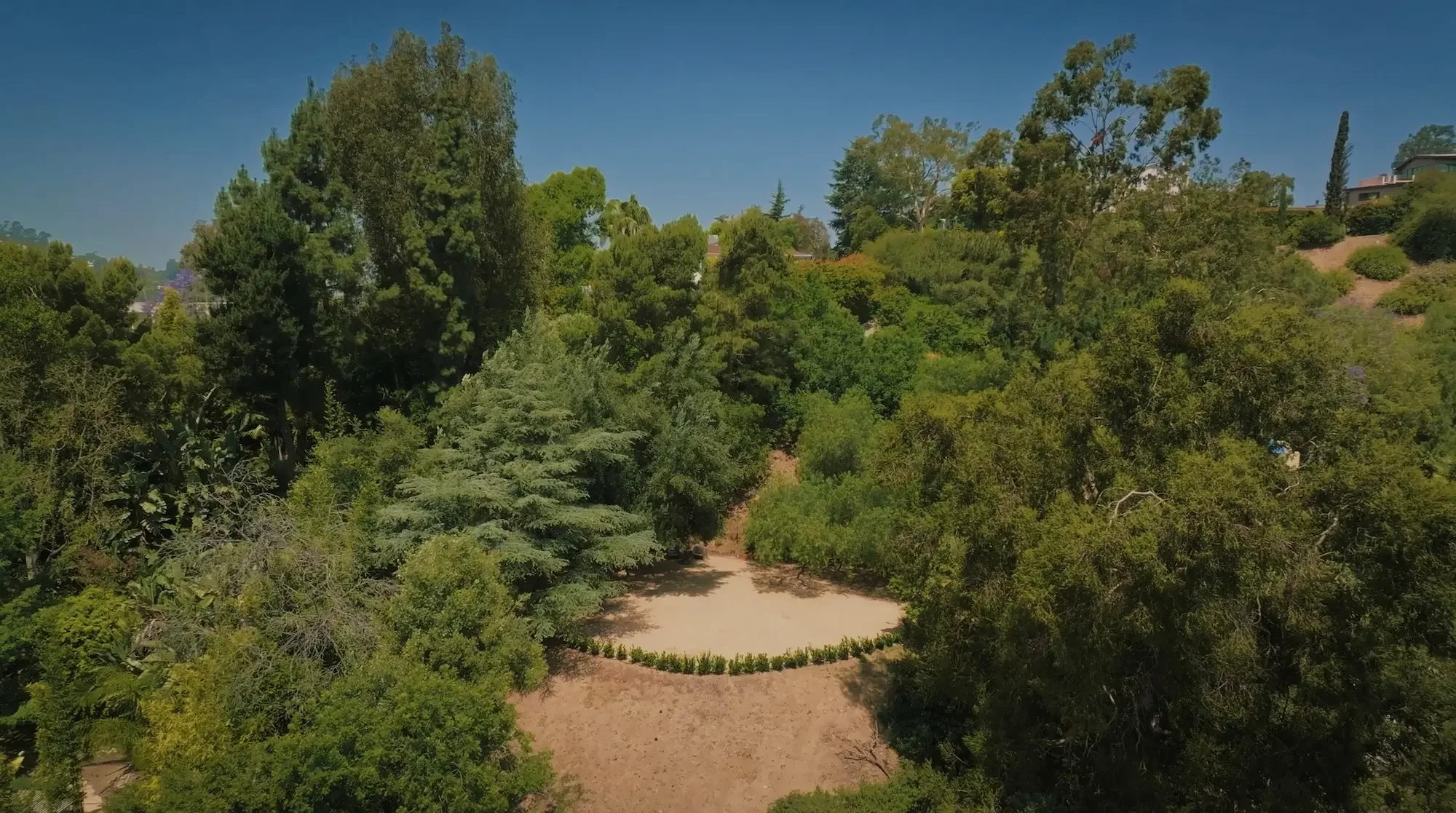 Spacious open filming area at Vista Grove, surrounded by mature trees in the Hollywood Hills.