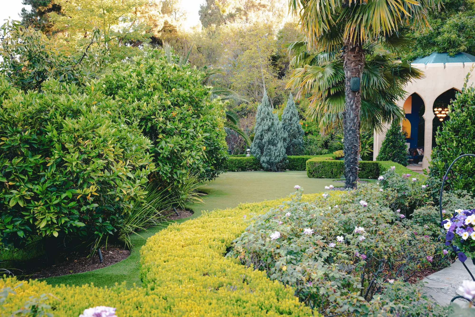 Expansive garden lawn surrounded by citrus trees, flowering roses, mature landscaping, and a palm tree.