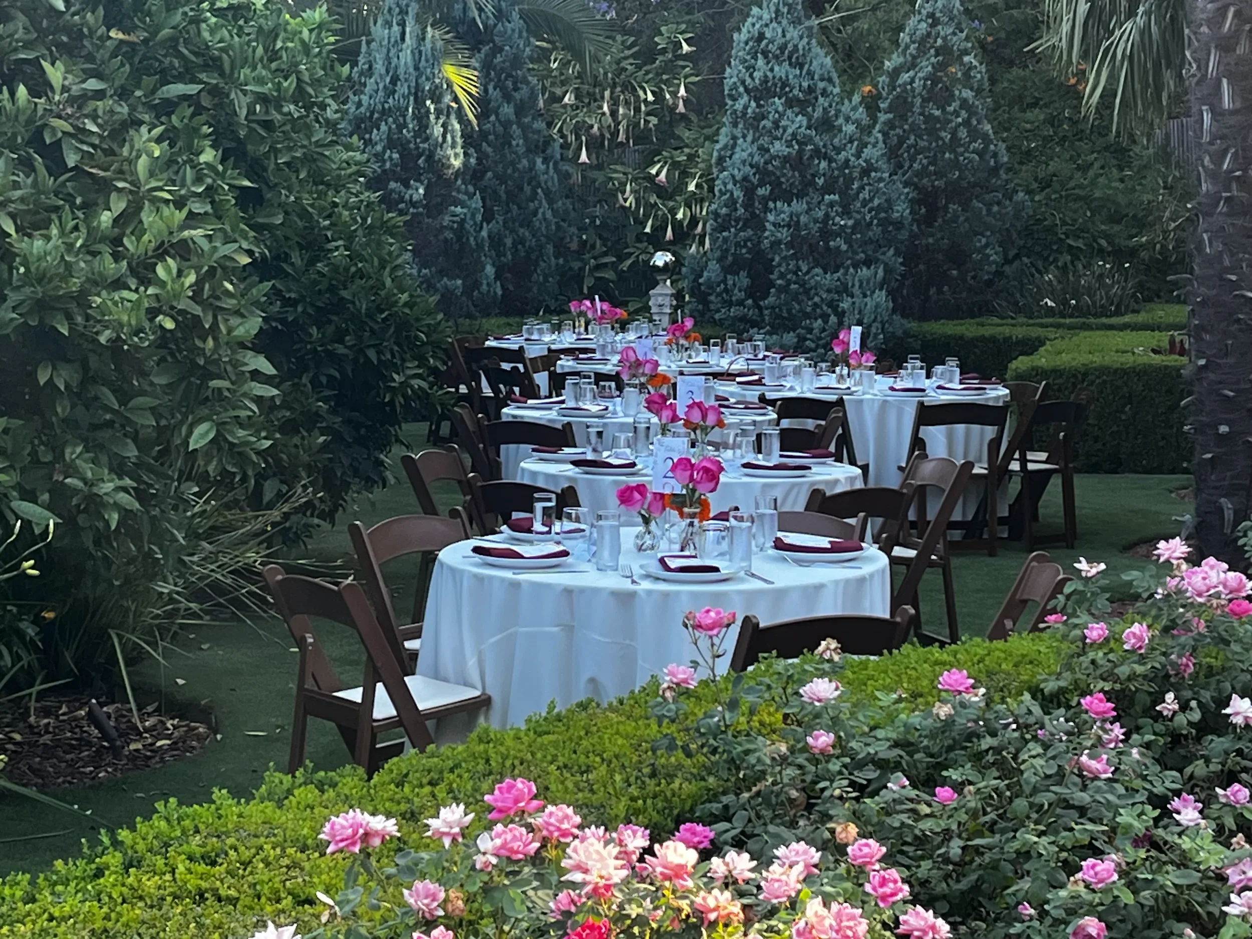 Garden dinner with round tables in blue linen and pink florals among the hedges