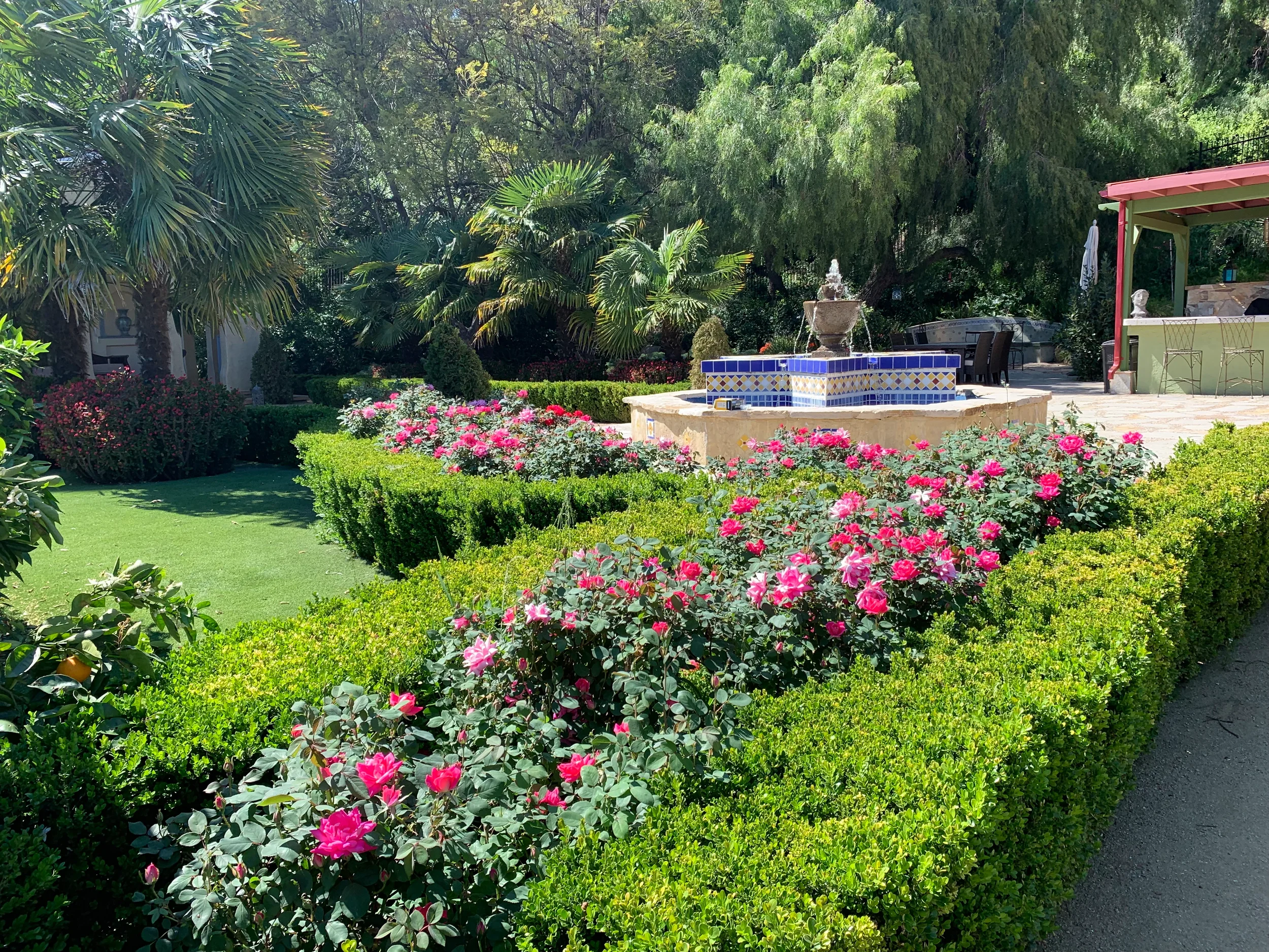 Formal rose garden in bloom beside a blue-and-yellow tiled fountain