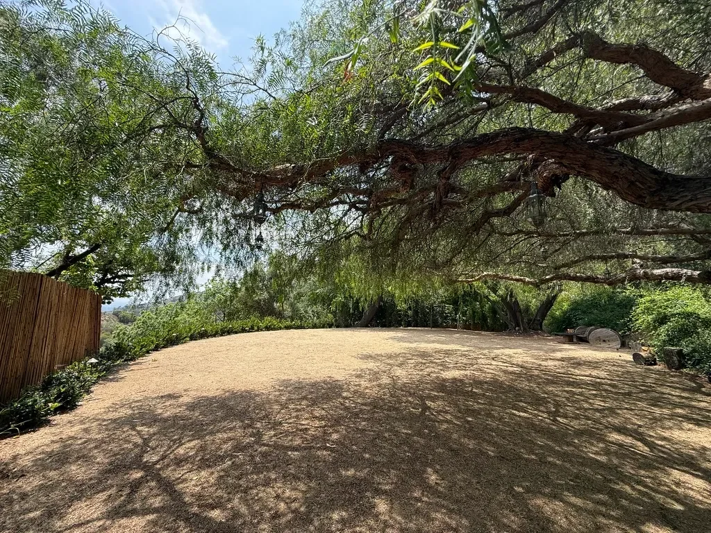 Sprawling heritage oak shading a garden clearing.