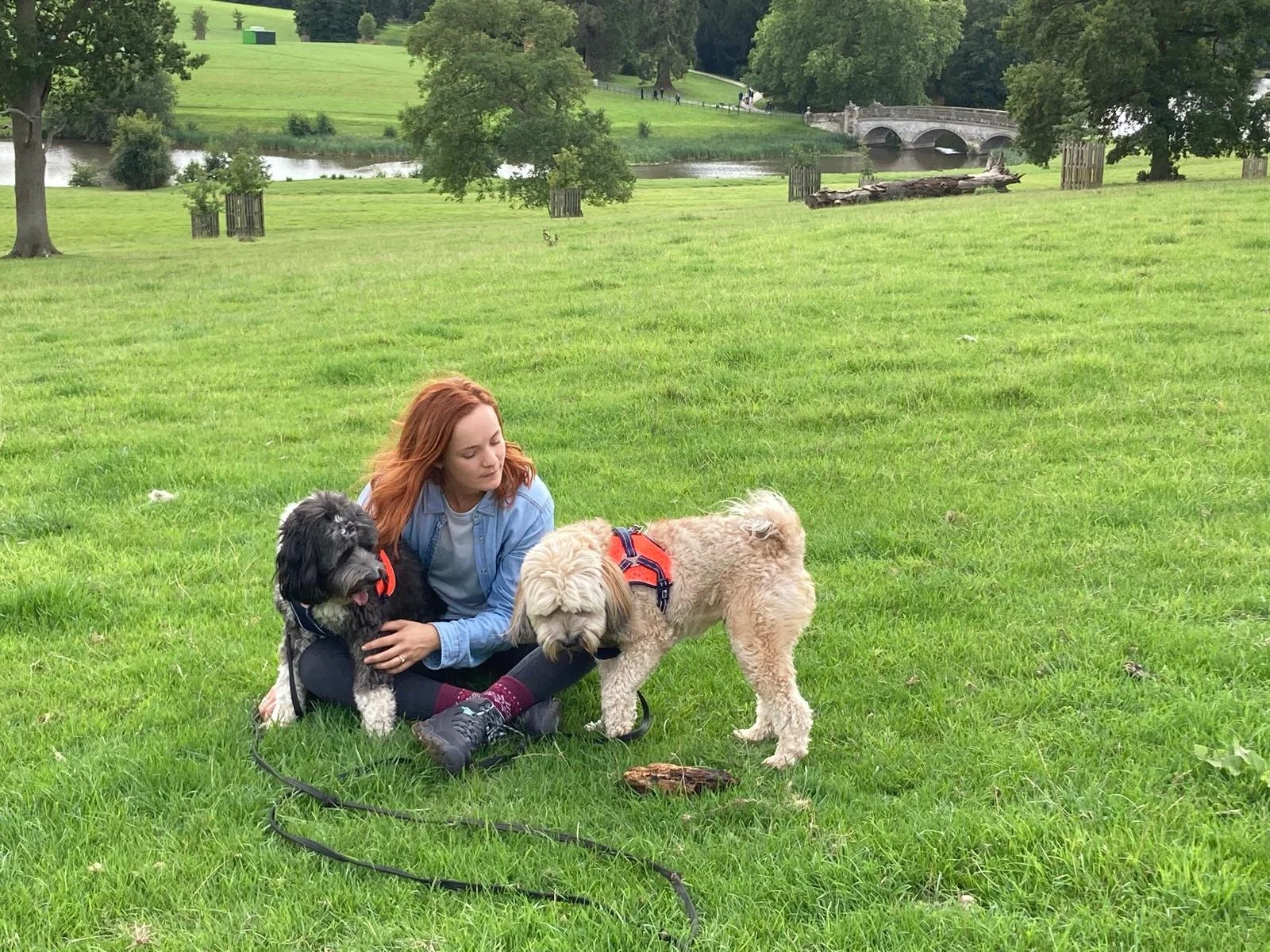 Stef Harris sitting on the grass with two dogs, one black and gray, the other tan, in a park with trees, a river, and a stone bridge in the background.