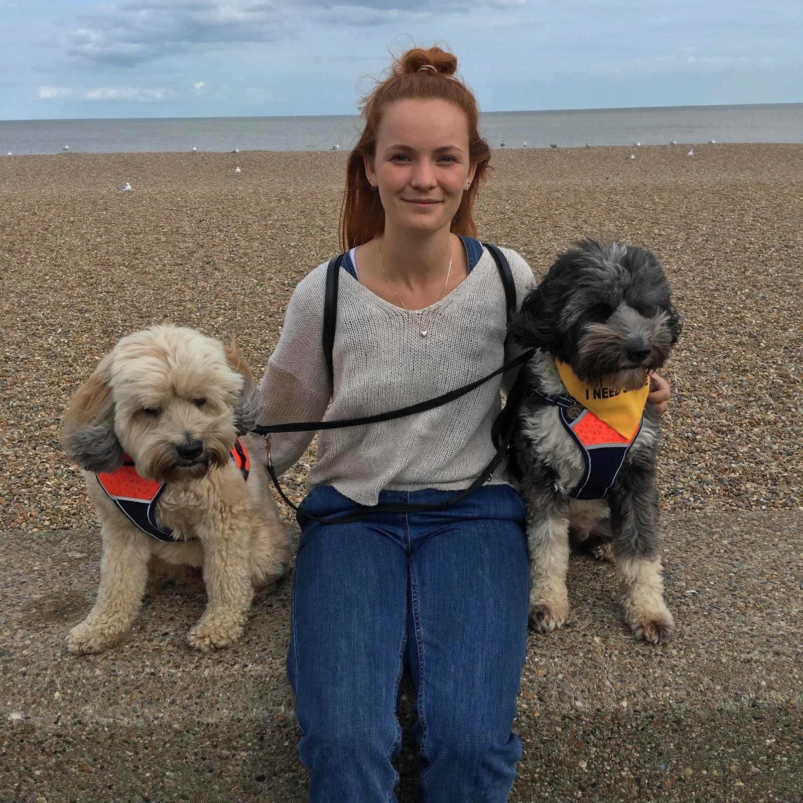 Stef Harris sitting on a pebble beach holding two dogs, one on each side, with the ocean and cloudy sky in the background.