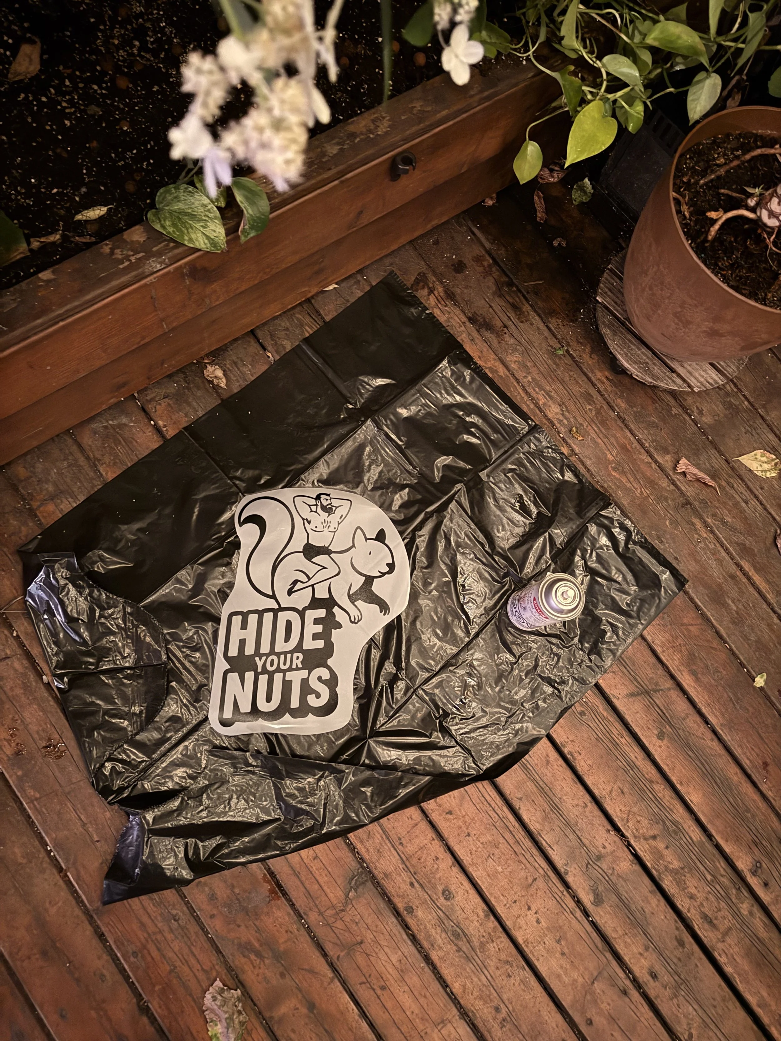 hide-your-nuts_wip.jpeg