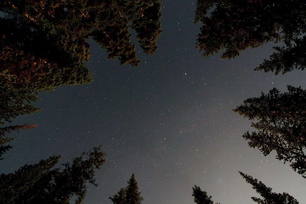 Stars above a campfire, Yoho National Park
